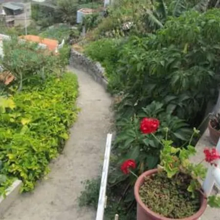 House Rural,biosphere Reserve World.taganana.tfe.