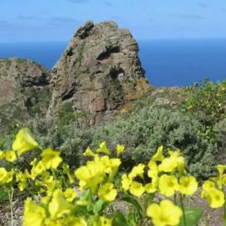 Semesterbostad House Rural,biosphere Reserve World.taganana.tfe.